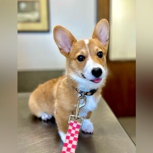 Meet your Posher, Karen